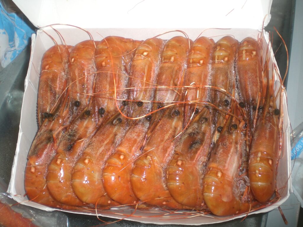 frozen shrimps