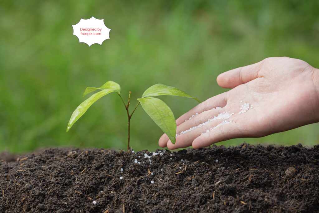 using fertilizers image