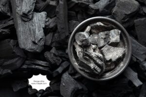 India's Coal Industry