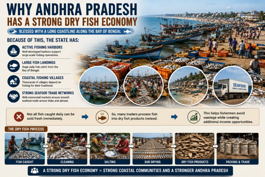 Andhra Has a strong Dry Fish Economy