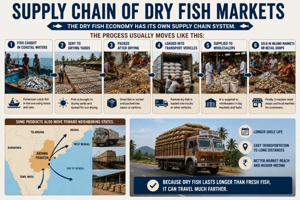 Supply chain of dry fish markets