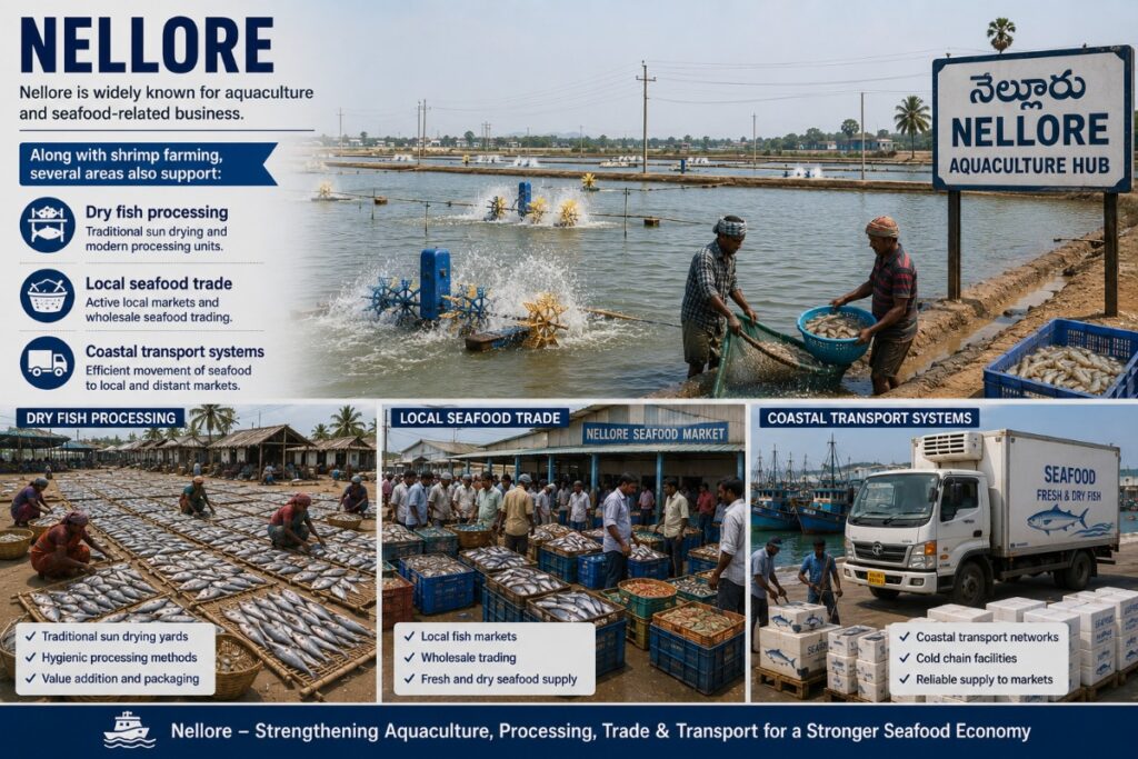 Nellore